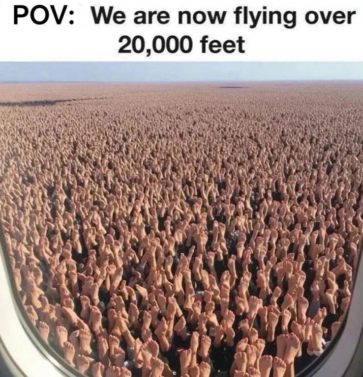 ???: 현재 우리는 2만피트 위를 날고 있습니다.