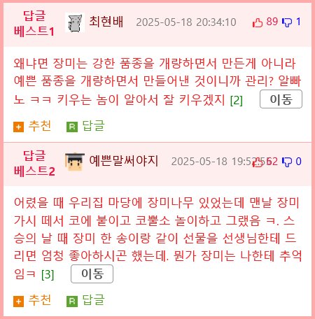 사람들이 잘 모르는 진정한 장미의 꽃말