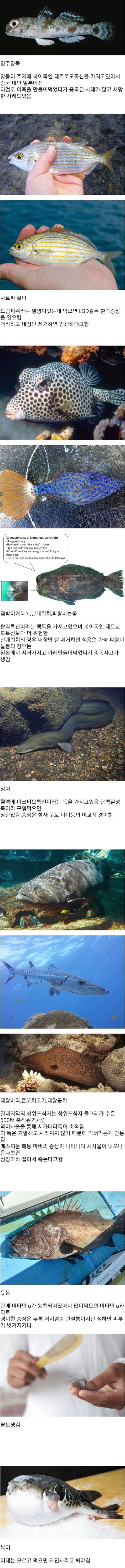 잘못 먹으면 위험한 생선들