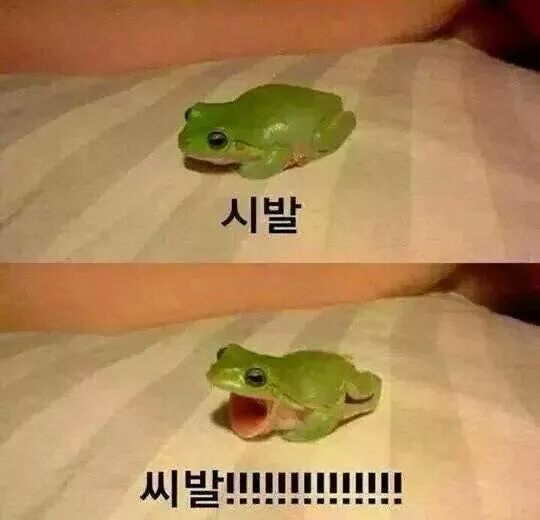 여군이 싫다던 중대장
