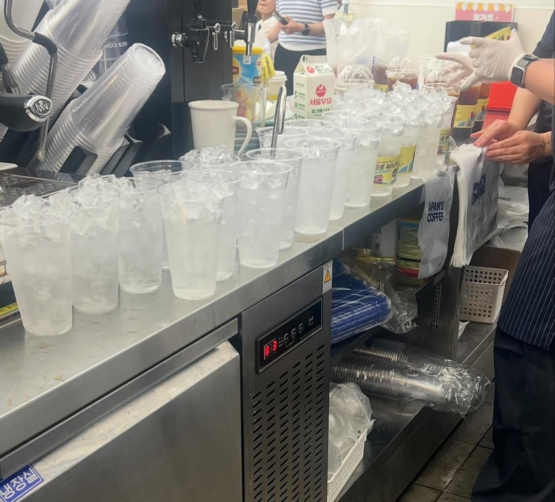 빽다방 아메리카노 500원 2일차근황