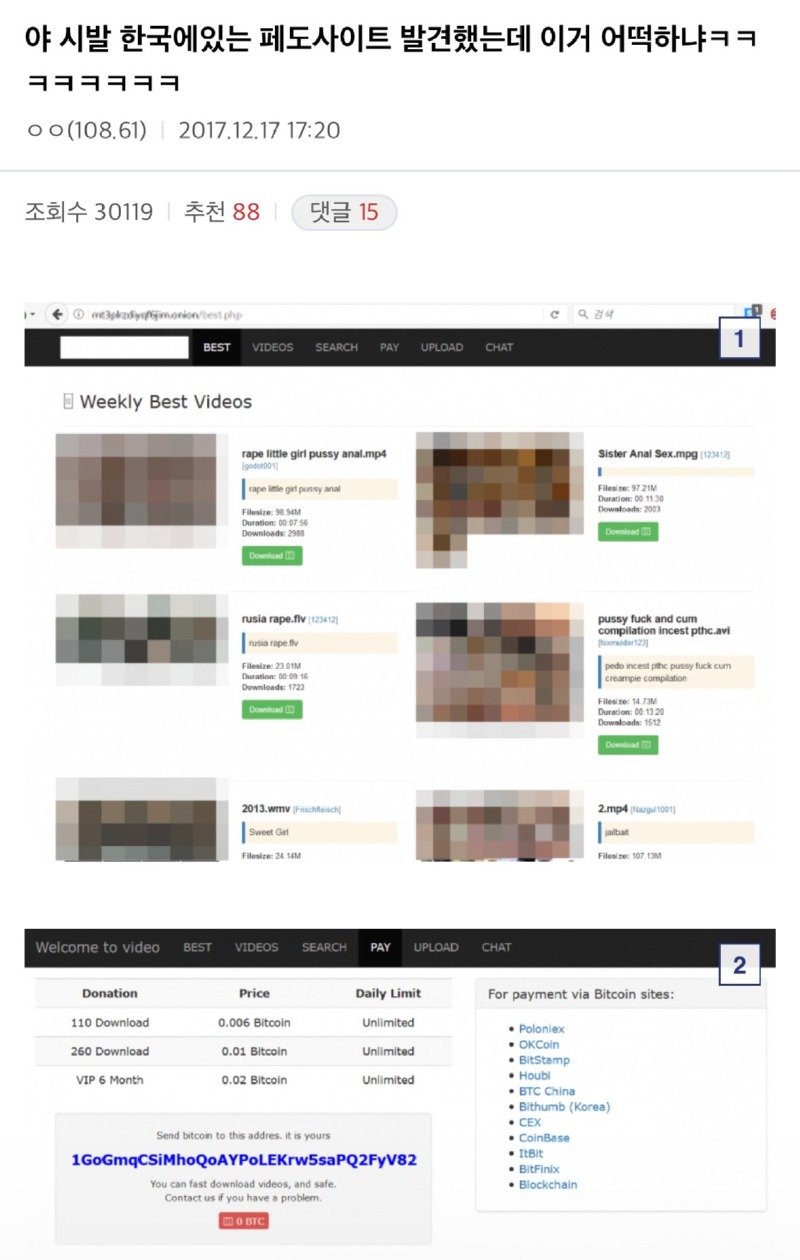 토르 브라우저 모르는 사람들이 많네