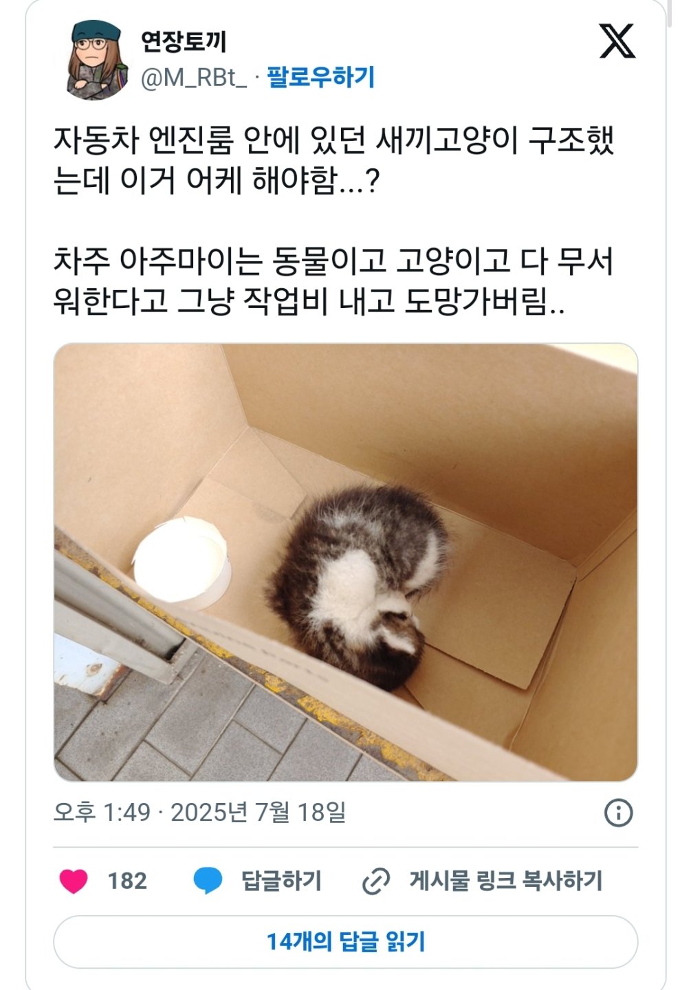 손님차 엔진룸에서 구한 아깽이를 강제로 맡게된 정비사