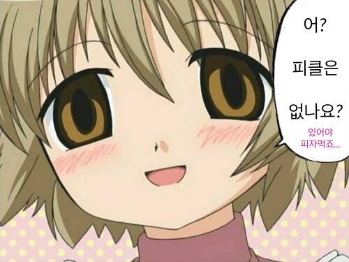 태풍이나 장마때 필수사항