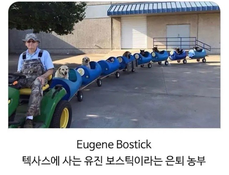 80대 할아버지의 산책시간.jpg