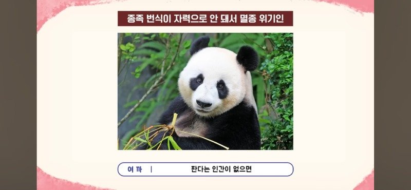 편견이 너무 없는 스트리머