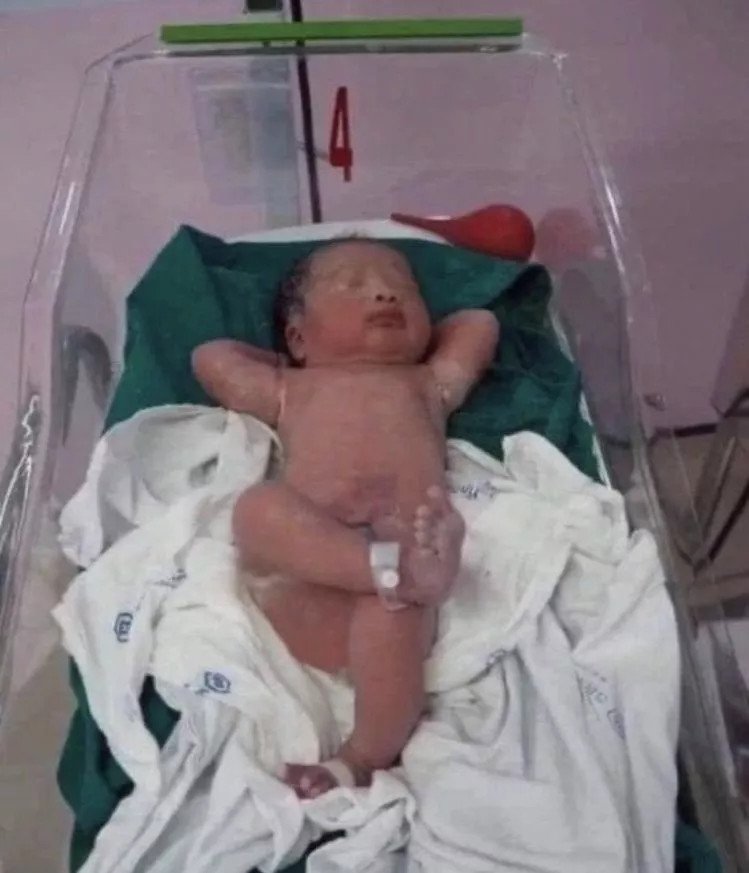 아 또 태어났네