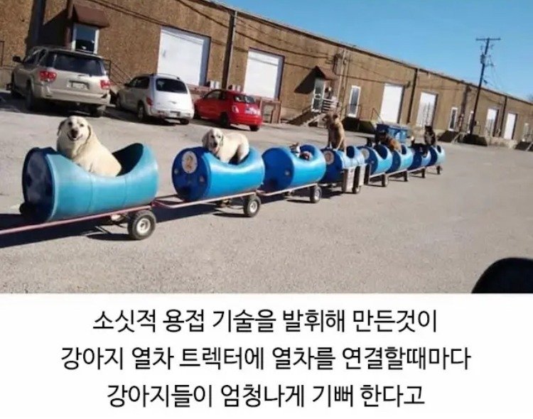 80대 할아버지의 산책시간.jpg