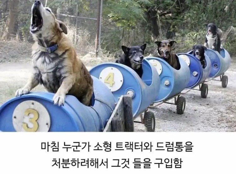 80대 할아버지의 산책시간.jpg