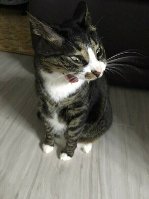 지금 다시보면 하이퍼리얼리즘의 시조였던 작품