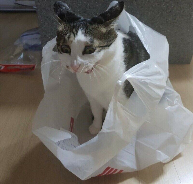 지금 다시보면 하이퍼리얼리즘의 시조였던 작품