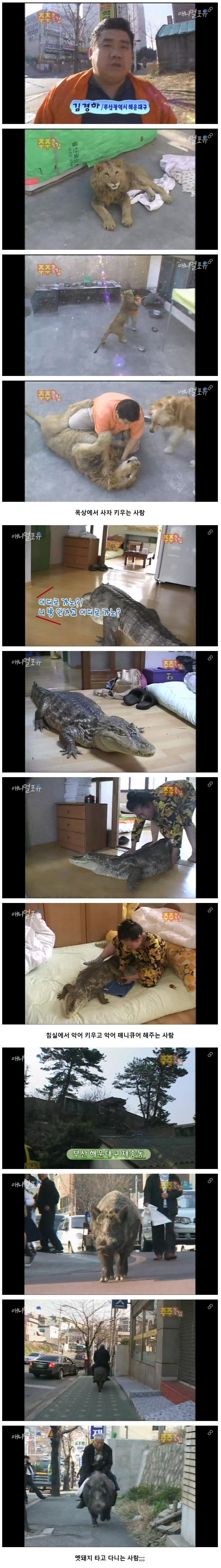 싱글벙글 광기 가득했던 2000년대 초반 ㅋㅋㅋ