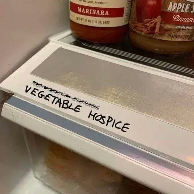 야채가 죽기전에 가는 곳