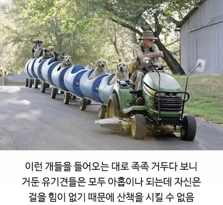 80대 할아버지의 산책시간.jpg