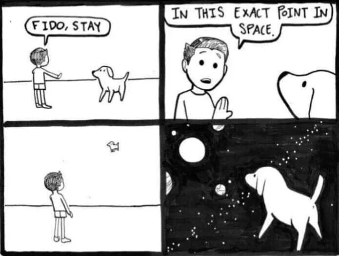 멍멍이한테 함부로 &#039;그 자리에서 가만히 기다려&#039;를 하면 안되는 이유