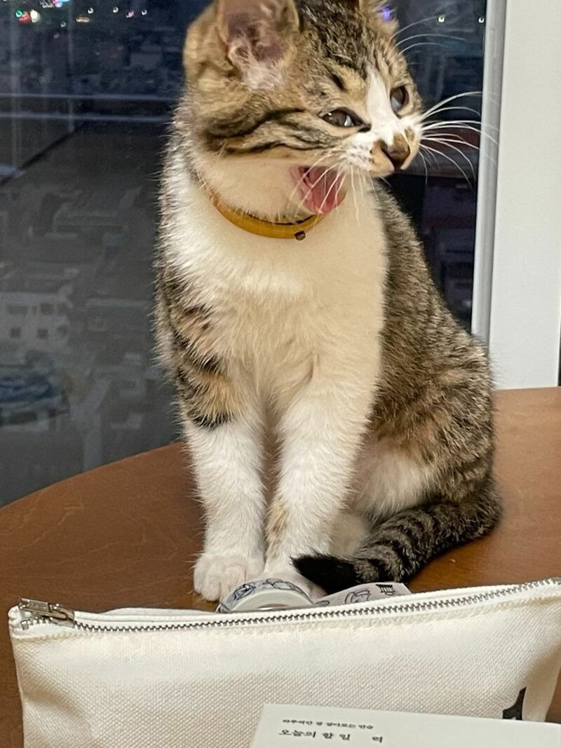 지금 다시보면 하이퍼리얼리즘의 시조였던 작품