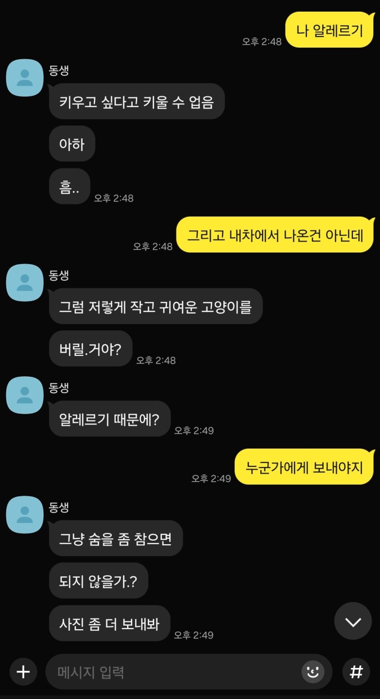 손님차 엔진룸에서 구한 아깽이를 강제로 맡게된 정비사