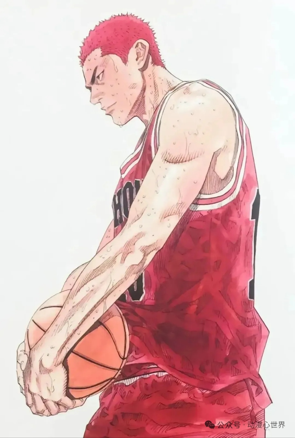 강백호 생 요약편