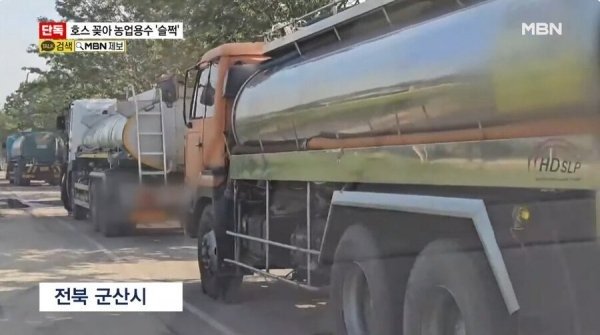 요즘 물도둑 근황