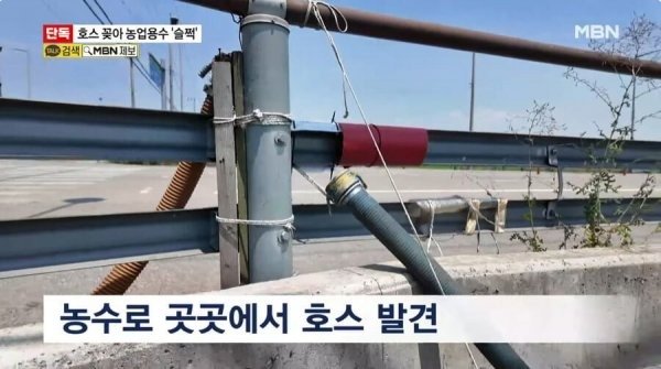 요즘 물도둑 근황