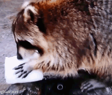 유머 짤 조각모음.jpg