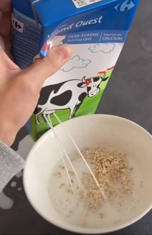 역시 갓 짠 우유가 맛있지