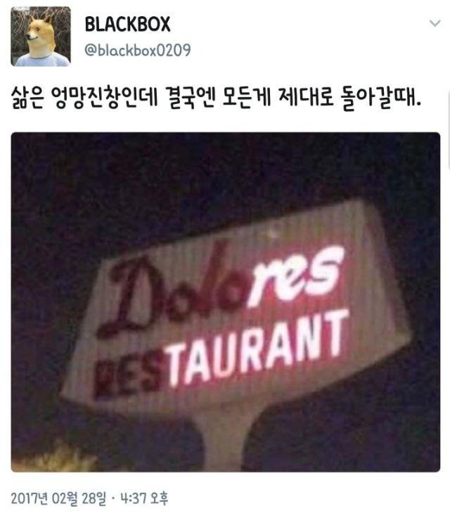 유머 짤 조각모음.jpg