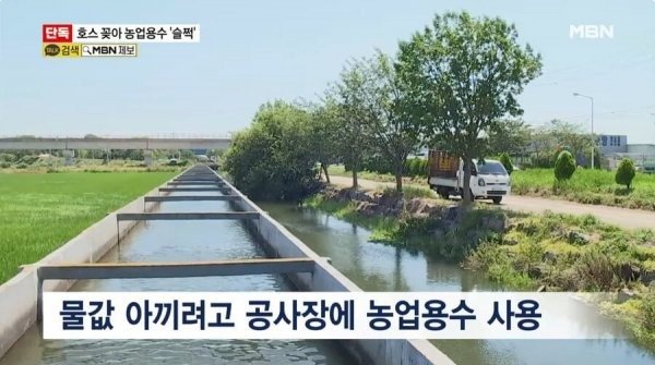 요즘 물도둑 근황