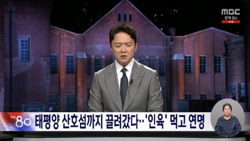 태평양 산호섬까지 끌려갔다 &#039;인육&#039; 먹고 연명