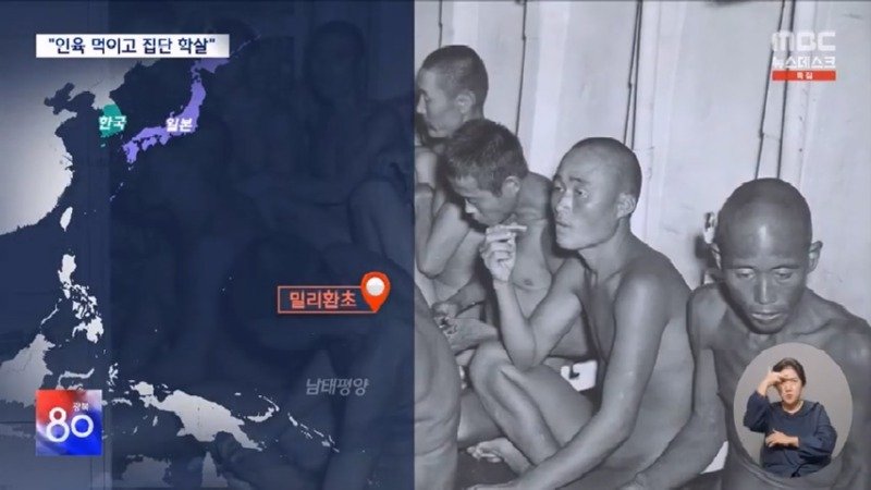 태평양 산호섬까지 끌려갔다 &#039;인육&#039; 먹고 연명