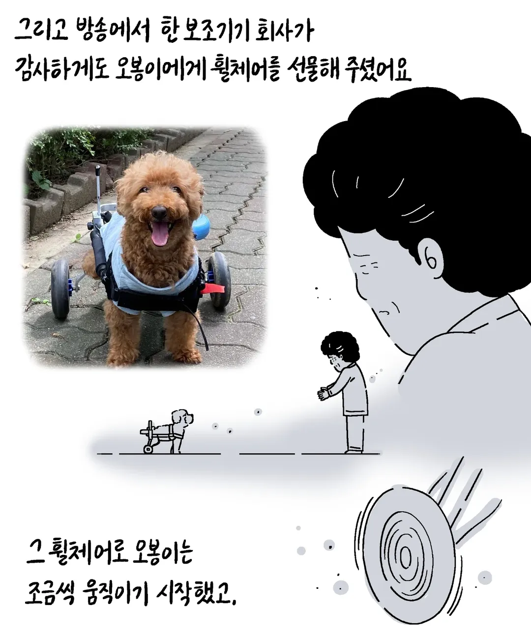 반려동물 자랑대회 당선작