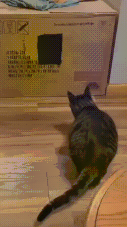 냥효대사 츄르물.gif