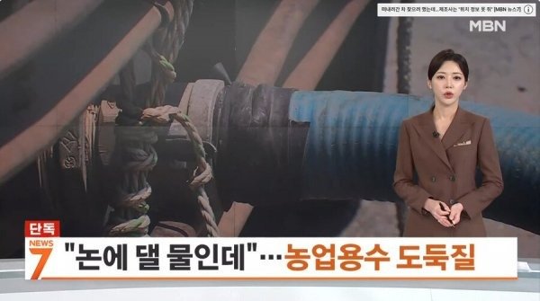 요즘 물도둑 근황