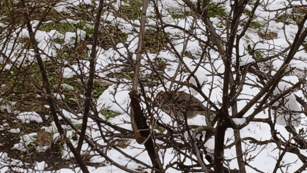 봇치의 리투아니아 여행 8화