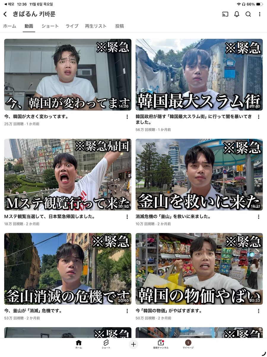 다른 대형 혐한 유투버 영상 비공개 처리 시작