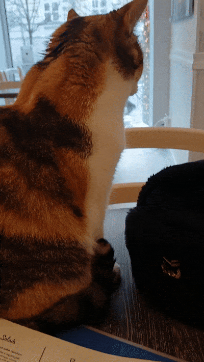 봇치의 리투아니아 여행 11화