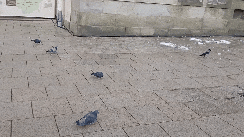 봇치의 리투아니아 여행 11화