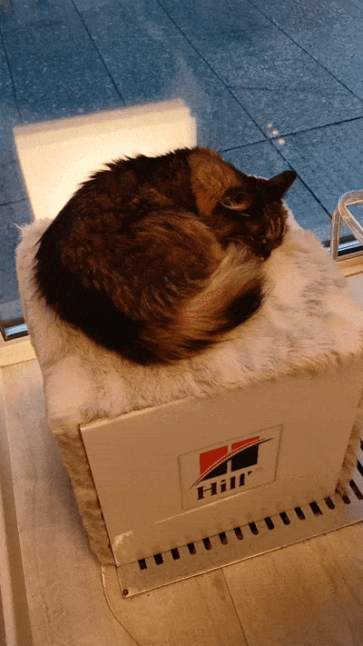 봇치의 리투아니아 여행 10화