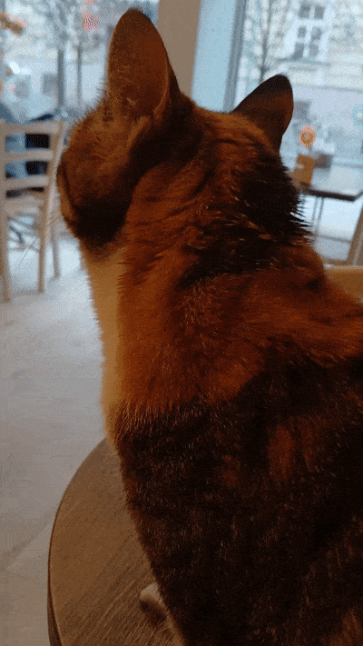 봇치의 리투아니아 여행 11화