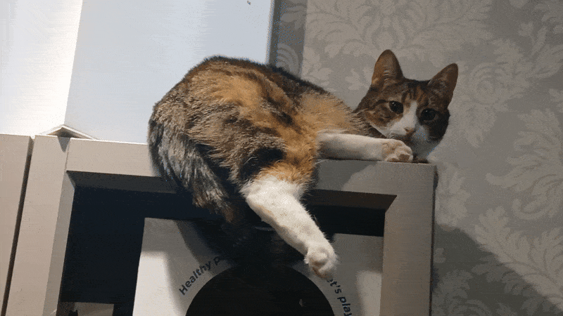 봇치의 리투아니아 여행 10화