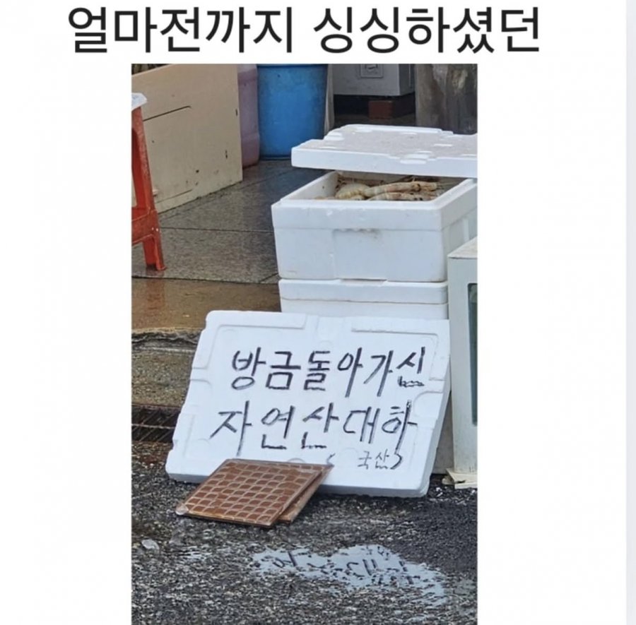 귀여우신 사장님 ㅎㅎ