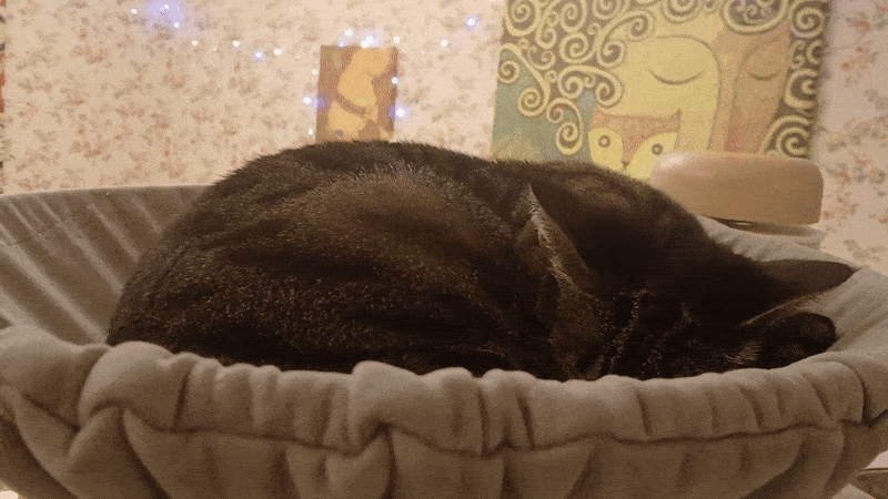 봇치의 리투아니아 여행 10화