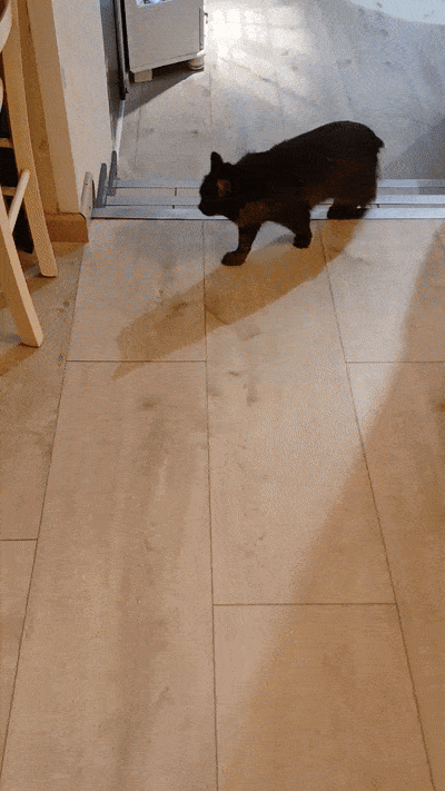 봇치의 리투아니아 여행 8화