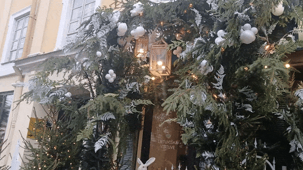 봇치의 리투아니아 여행 10화