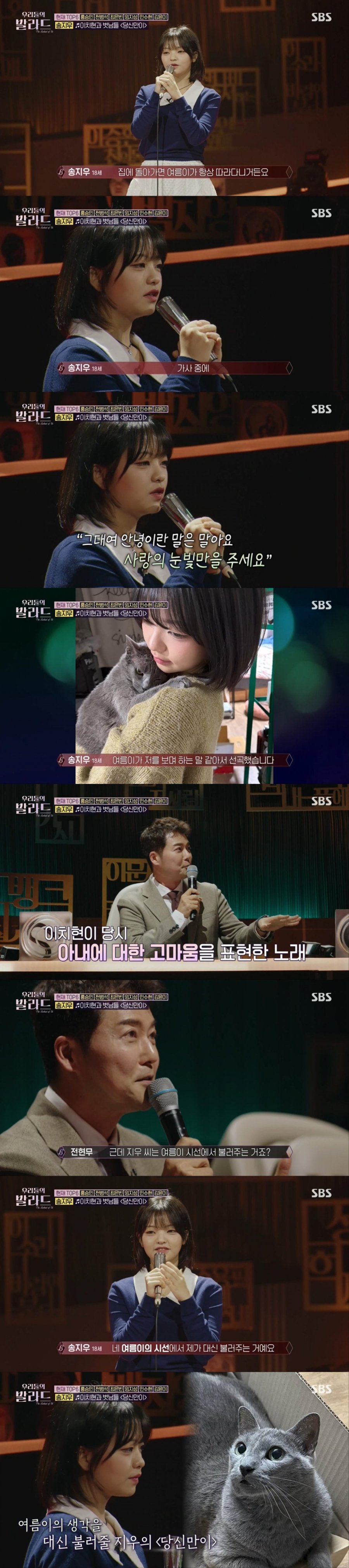 고양이 집사가 부르는 고양이 노래ㅋㅋㅋㅋㅋㅋㅋㅋ