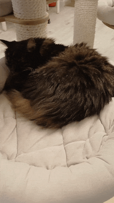 봇치의 리투아니아 여행 10화