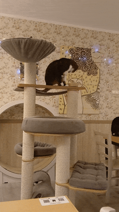 봇치의 리투아니아 여행 10화