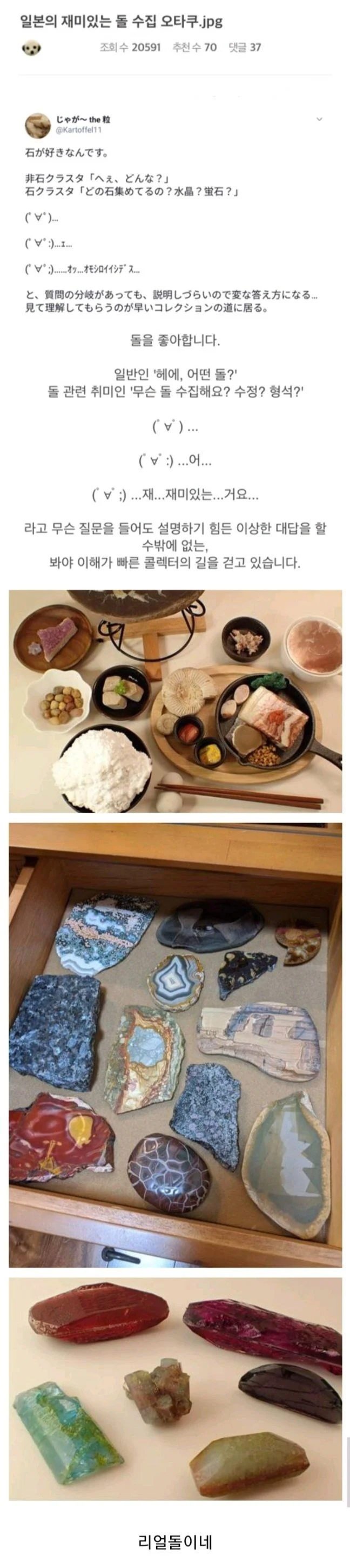 일본의 돌 수집가