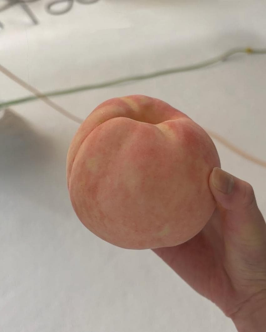 인간복숭아 장원영