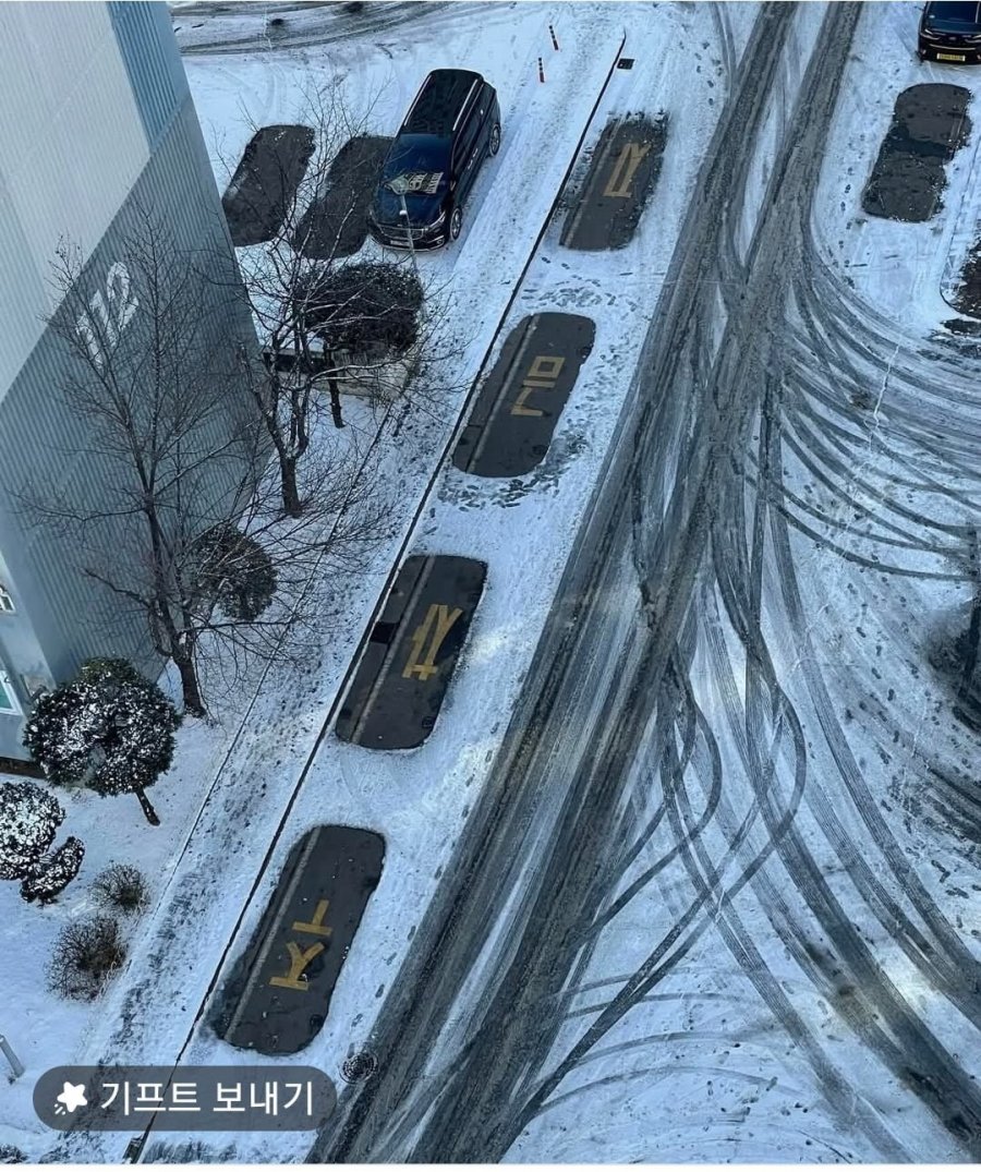 전설의 주차금지.jpg